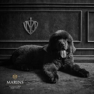 Marins Consultoria analisa mudança da Reforma da Previdência através de seu CEO, Eliézer Marins