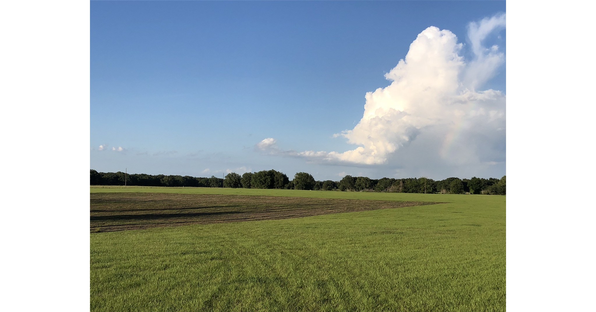 Green Point Research Launches Farmers First Initiative in Central Florida