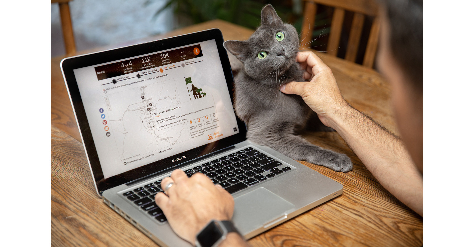 Best Friends Animal Society Launches FirstofitsKind Data Dashboard to Mobilize Communities