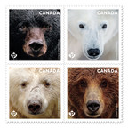 Face to face with four of Canada's most formidable predators - New stamps feature extreme close-ups of native bears