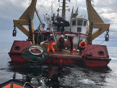 Successful three-day Operation Ghost recovers 101 traps and nine kilometres of rope from the water in the Gulf of St. Lawrence (CNW Group/Fisheries and Oceans (DFO) Canada)