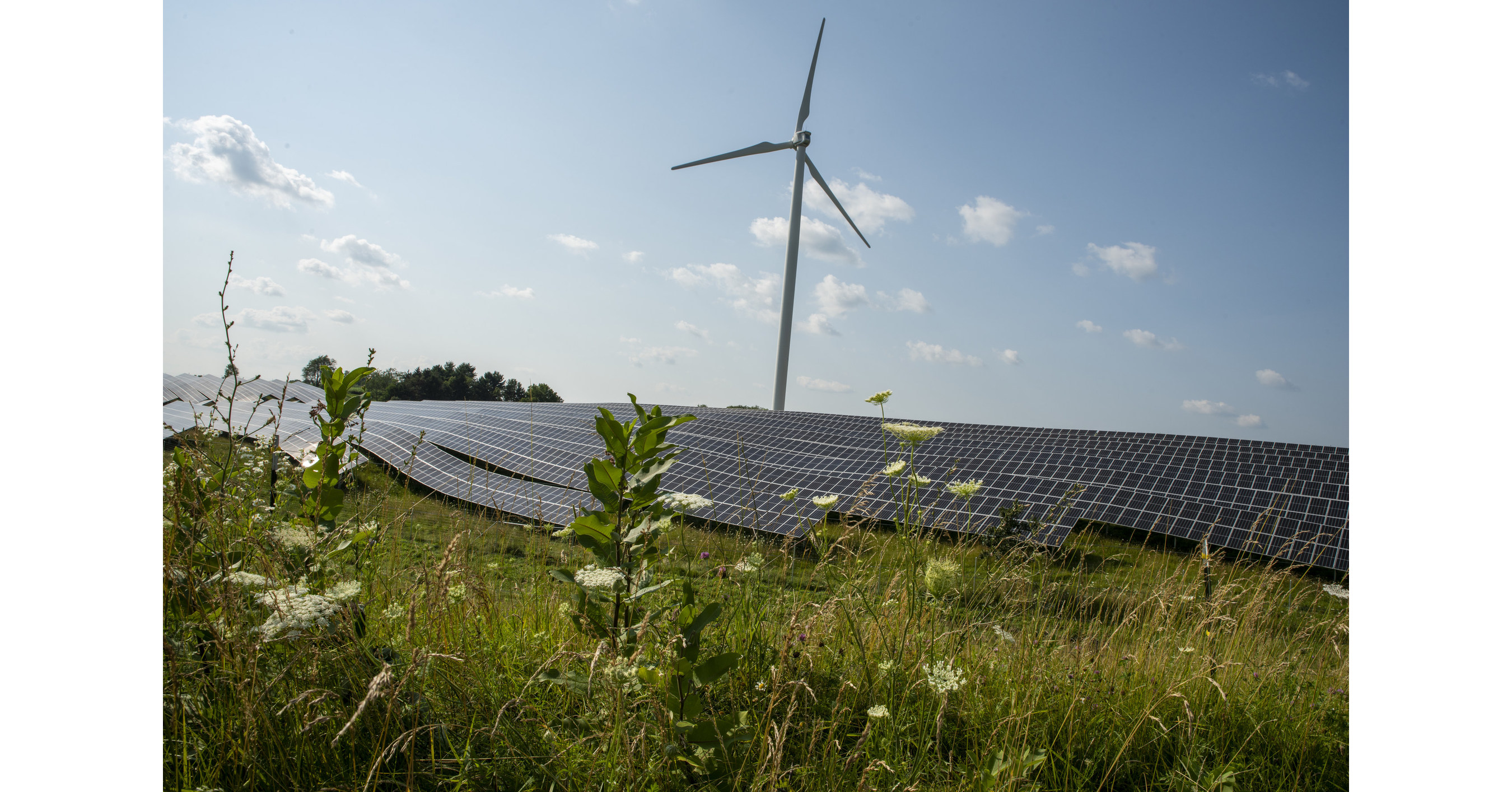 Organic Valley 100 Percent Renewably Powered