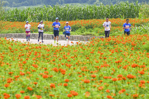 Flower Sea Marathon in Rural China Boosts Economy, Attracts 3,000 Runners