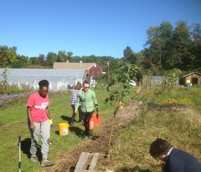 https://mma.prnewswire.com/media/956375/SeedMoney_Just_Roots_Greenfield_Community_Garden.jpg