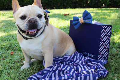 MyJane and CUDDLY "Time to Paws" Pet CBD Box. MyJane and CUDDLY "Time to Paws" Pet CBD Box.