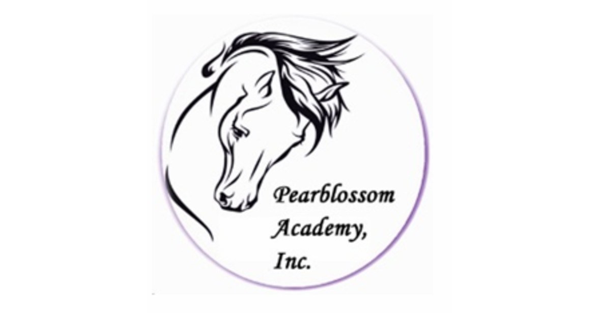 pearblossom-academy-inc-provides-an-accredited-high-school-homeschool