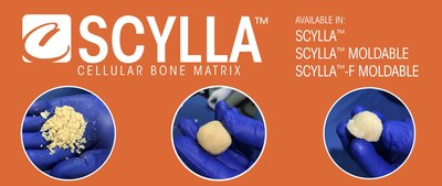 Scylla™ Scylla™