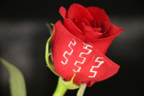 SAFI-Tech's no-heat solder applied to delicate rose petal