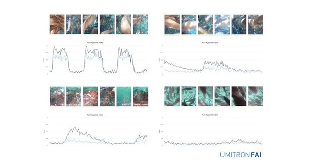 Aquaculture technology provider UMITRON launches Fish Appetite Index ...
