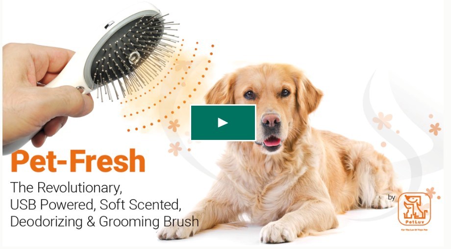 How Do You Brush A Dog That Bites