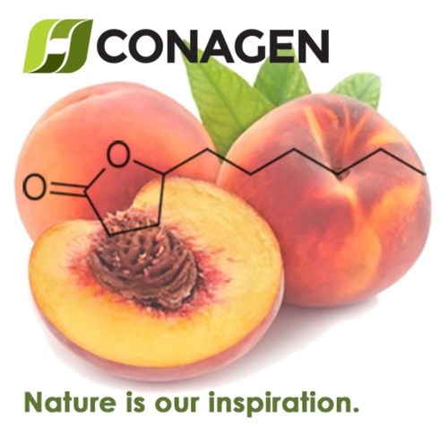 Found in many ripe fruits and particularly peaches, γ-Decalactone is a versatile compound used commercially in formulations with distinctive fruit flavors of peach, apricot and strawberry in food, beverage, fragrance, nutrition, renewable materials, and pharmaceutical markets. (PRNewsfoto/Conagen)