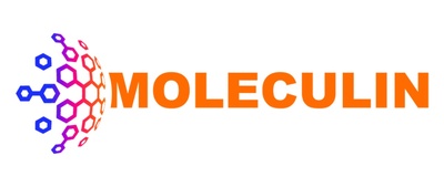 Moleculin Biotech, Inc. is a clinical stage pharmaceutical company focused on the development of a broad portfolio of oncology drug candidates for the treatment of highly resistant tumors. (PRNewsfoto/Moleculin Biotech, Inc.) Moleculin Biotech, Inc. is a clinical stage pharmaceutical company focused on the development of a broad portfolio of oncology drug candidates for the treatment of highly resistant tumors. (PRNewsfoto/Moleculin Biotech, Inc.)