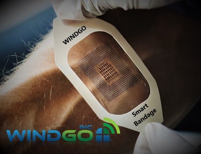 WINDGO Smart Bandage