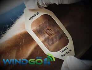 WINDGO Granted IoT Wearable Products Patent