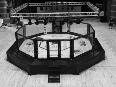 Zebra Athletics, Invicta FC Announce Multi-Year Sponsorship and