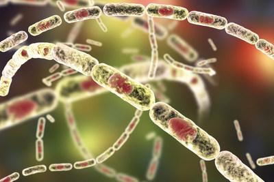 Illustration depicting Bacillus anthracis, causative agent of anthrax. Illustration depicting Bacillus anthracis, causative agent of anthrax.