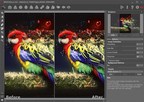 Fix Blurred Photos Using AKVIS Refocus 8.5 -- Now with History Brush