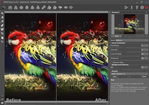 Fix Blurred Photos Using AKVIS Refocus 8.5 -- Now with History Brush