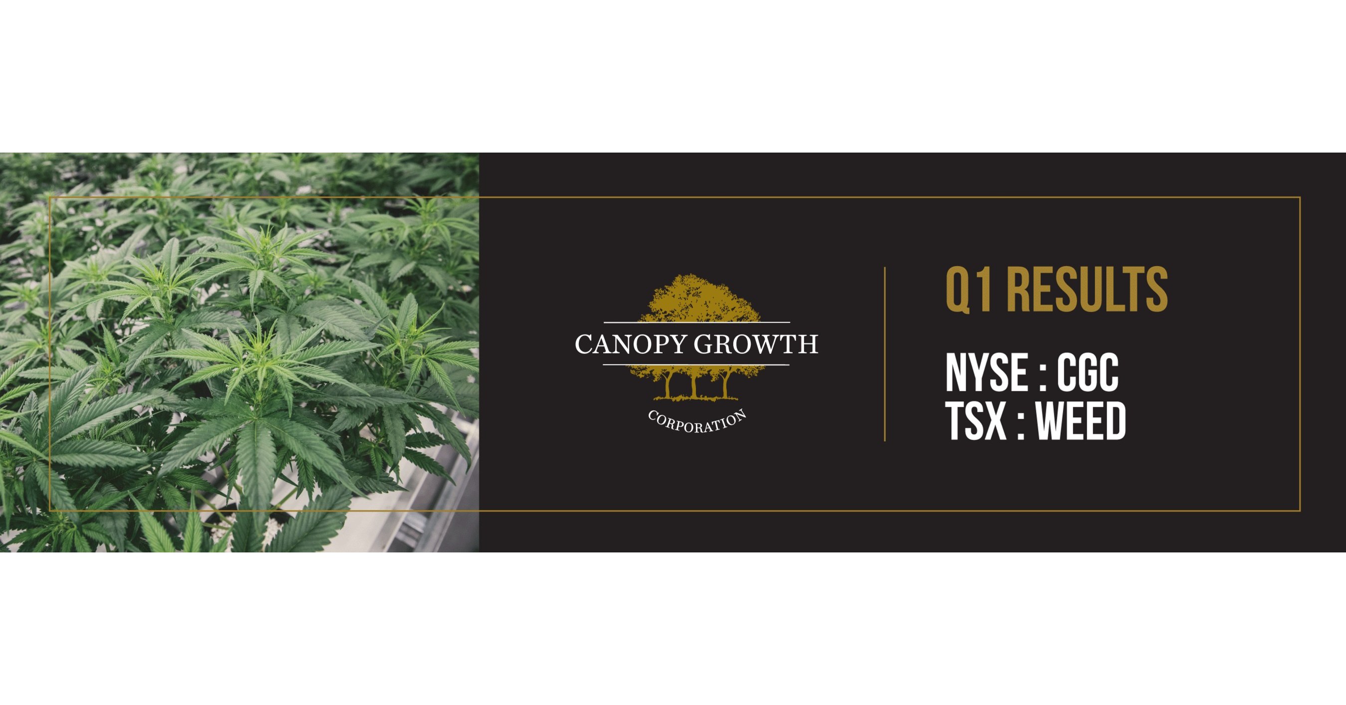 Canopy Growth drives revenue with 94% increase in recreational dried cannabis sales in first ...