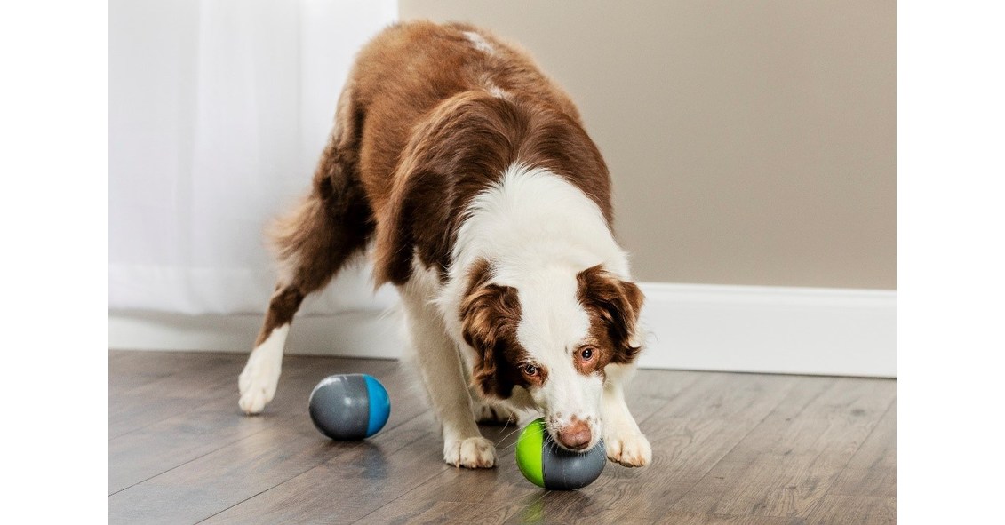 PetSafe® Introduces New Ricochet Electronic Dog Toys