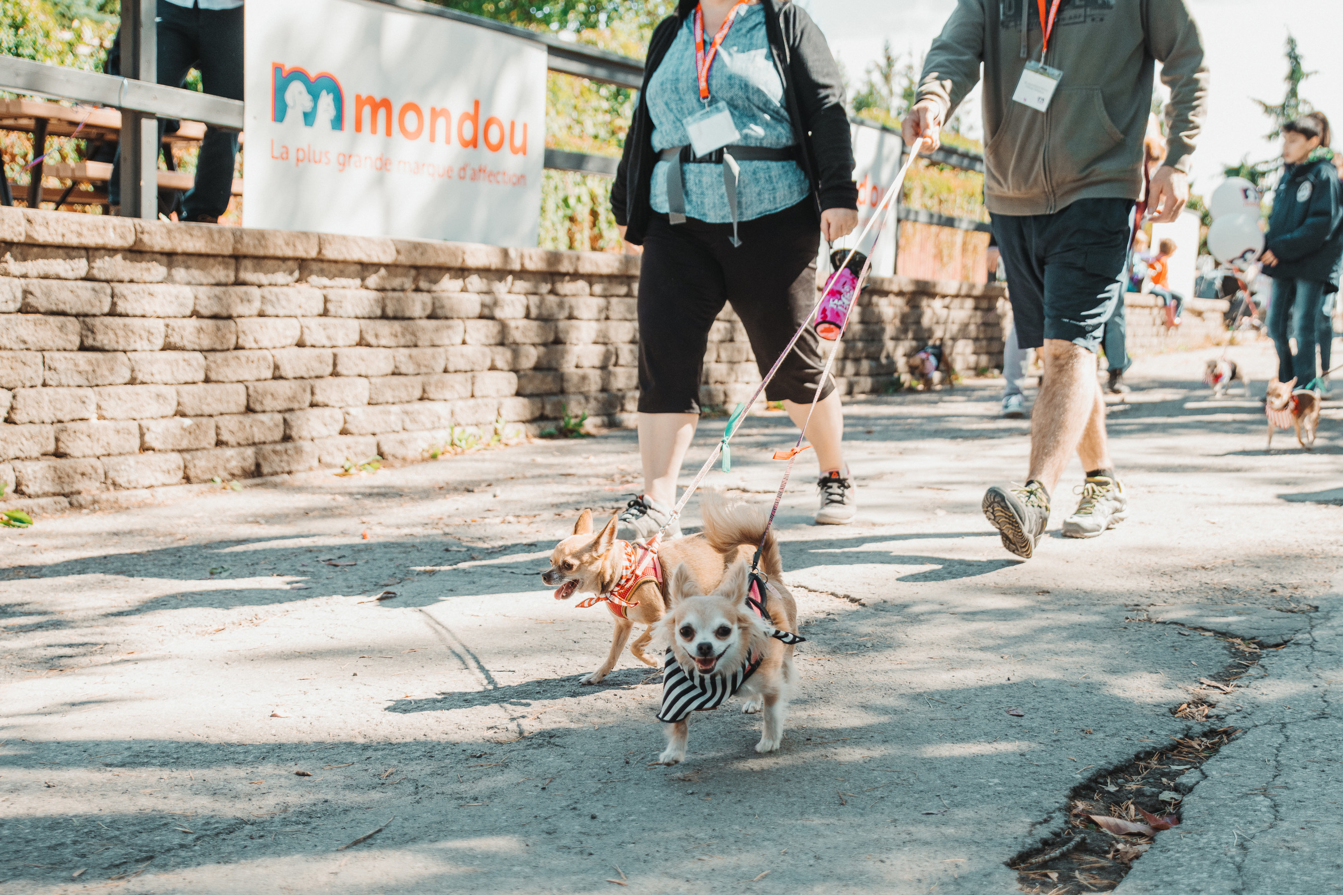 Invitation Au Rendez Vous Mondou Festival Canin Les 17 Et 18 Aout Au Centre De La Nature De Laval