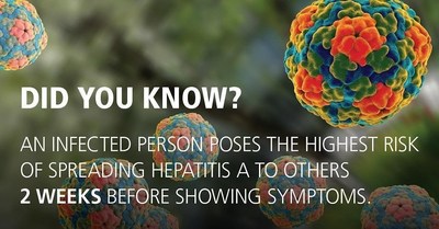 A person infected with hepatitis A is contagious two weeks before showing symptoms.