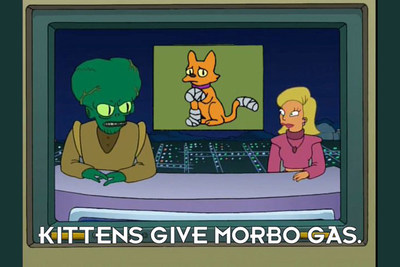 Morbo doesn't like kittens (CNW Group/CNW Group Ltd.)