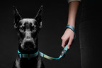 Sleepypod Brings Safety to Everyday Pet Essentials with New "Everyday Collection"