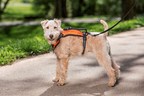 New PetSafe® Walk Along™ Outdoor Harness Makes Adventures with Furry Friends Easy