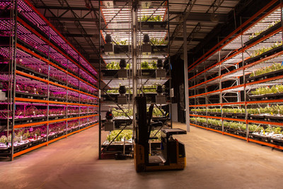 Tampa Cultivation Facility for Cansortium Inc (CNW Group/Cansortium Inc)