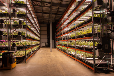 Tampa Cultivation Facility for Cansortium Inc (CNW Group/Cansortium Inc)