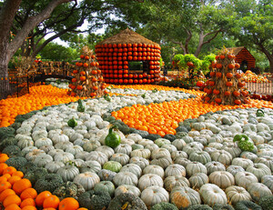 Autumn at the Arboretum Fall Festival Highlights "It's The Great Pumpkin, Charlie Brown" Theme with 90,000 Pumpkins, Gourds and Squash