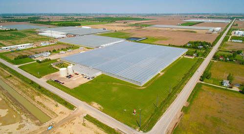 Orangeline Farms Aerial View (CNW Group/Mucci Farms)