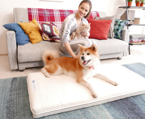 Airweave's modular &amp; 100% washable mattress design now available for pets