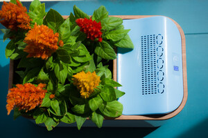 Dewplanter Launches World's First Water Generating Planter