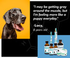 HempMeds®, Subsidiary of Medical Marijuana, Inc., Releases Hemp for Pets Product Line in Celebration on National Dog Day
