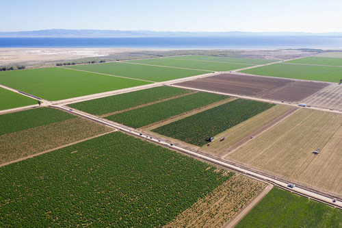 Primordia's hemp operation, seen here, comprises over 10,000 acres of legacy farmland and infrastructure ideal for hemp cultivation in the Imperial Valley of California.  With state of the art extraction technology and a 365-day cultivation window, Primordia aims to be the premier industrial hemp operation in the United States.