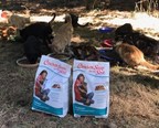 400+ Desperate Cats Needed a Ton of Love and Food . . . and Got Even More