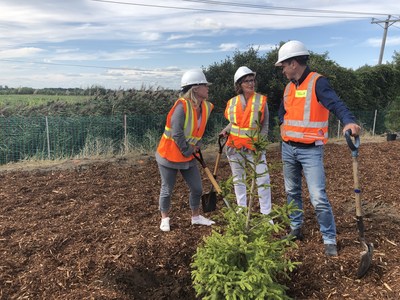Le ministre Franois Bonnardel, la ministre Caroline Proulx et la dpute Lise Lavalle procdent  une plantation d'arbres aux abords de l'autoroute 40 (Groupe CNW/Cabinet du ministre des Transports)