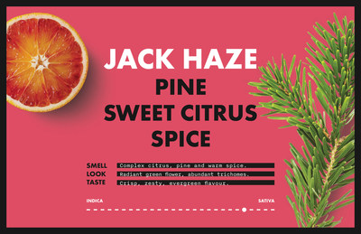 7ACRES' New Strain: Jack Haze (CNW Group/The Supreme Cannabis Company, Inc.) 7ACRES' New Strain: Jack Haze (CNW Group/The Supreme Cannabis Company, Inc.)