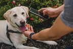 Wag! Tag: The Smarter Way to Get Your Pup Home is Now Available to Pet Parents Nationwide