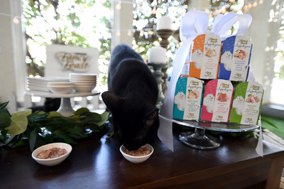 Dustin enjoys Fancy Feast APPETIZERS at a ‘Garden Party’ hosted by the brand at the spcaLA. Fancy Feast donated 487,680 Fancy Feast APPETIZERS to shelters across the country, allowing adoptable kitties to enjoy a little delight, morning, noon or night.