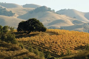 Explore California Wine Country's Back Roads: Central Coast (South) Spotlight