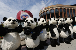 New York's Citi Field To Host The Largest Lantern Arts Festival In North America