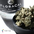 Cannabis Farm Management Software Provider, Trym, Launches Metrc Integration with FloraCal Farms