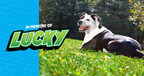 OPEI Launches TurfMutt Foundation, Honors Lucky the TurfMutt's Legacy