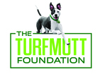De-Stress and Learn by Taking Part in the City Nature Challenge April 24 to May 3 in Your Own Backyard, Says TurfMutt Foundation