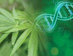 Medicinal Genomics, Arbor Biosciences Partner on Marker Discovery and Genotyping in Cannabis
