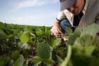 Syngenta offers farmers broad choice of traits with NK® soybeans for 2020