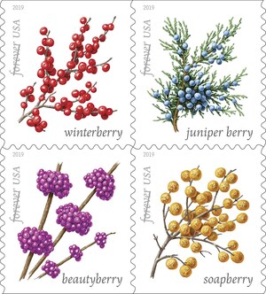 Winter Berries Forever Stamps On Sale Today Nationwide